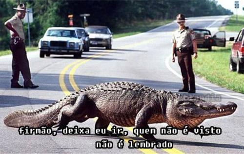 photo 807504036058235