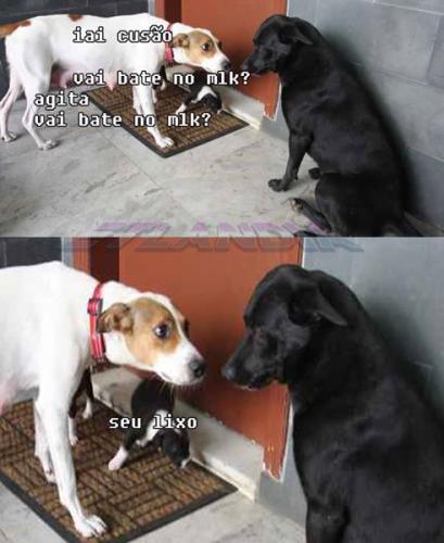 photo 807590089382963