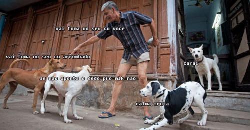 photo 807593676049271