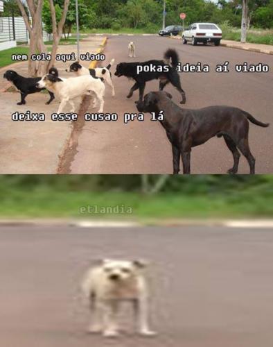 photo 809318935876745