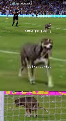 photo 810959559046016