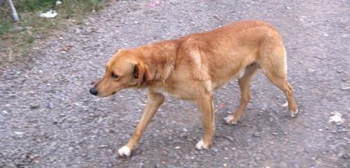 photo 812194338922538