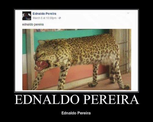 photo 812212505587388