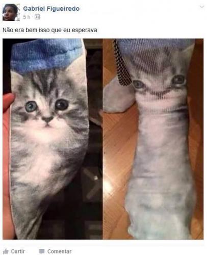 photo 812241565584482