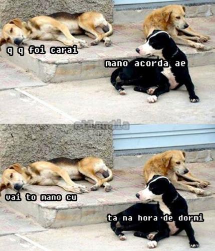 photo 815341018607870