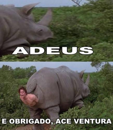 photo 815593805249258