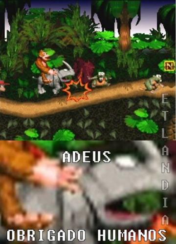 photo 815599298582042