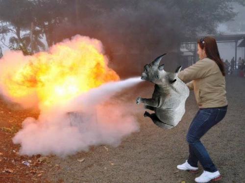 photo 815622348579737