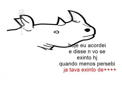 photo 816076908534281