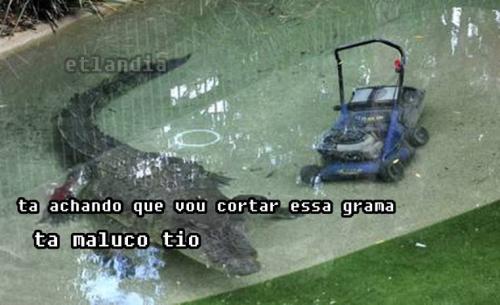 photo 819600638181908