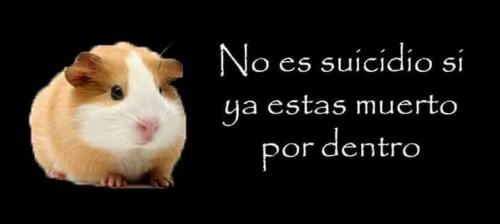 photo 823688917773080