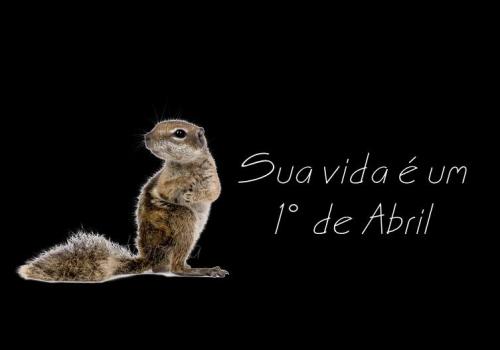 photo 823916051083700