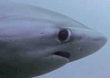 photo 824882710987034