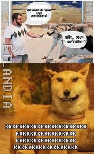 photo 829216907220281