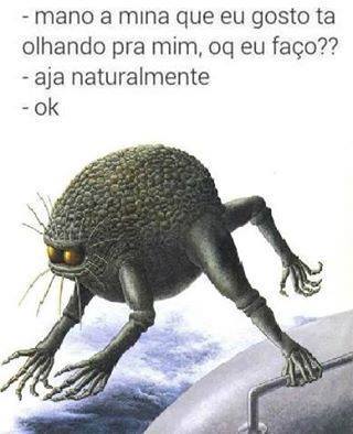 photo 837197786422193