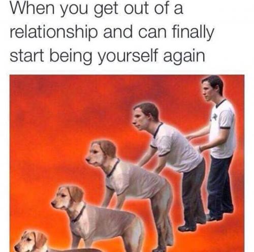 photo 846567568818548