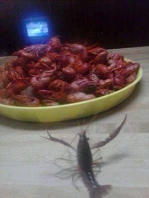 photo 853209934820978