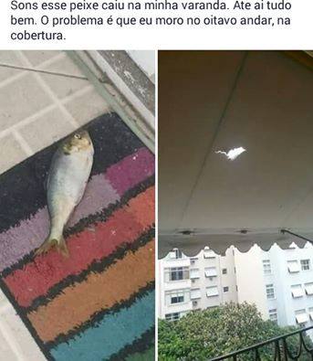 photo 854473644694607