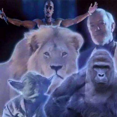 photo 856052134536758