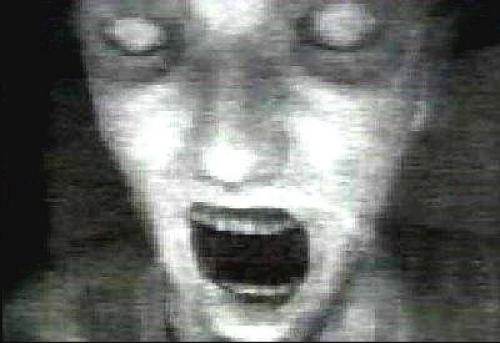 photo 858761727599132