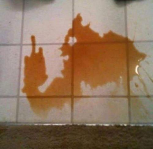 photo 862747713867200