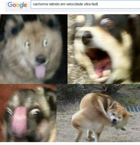 photo 864511900357448