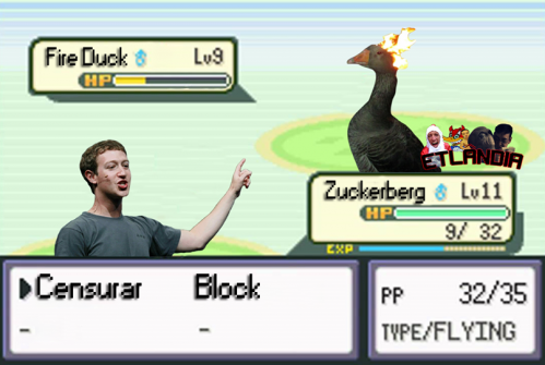 photo 868063090002329