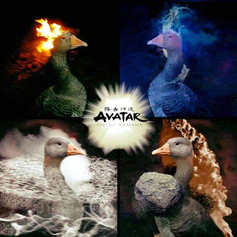 photo 868257019982936