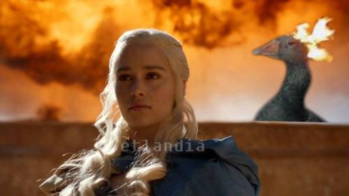 photo 868297529978885