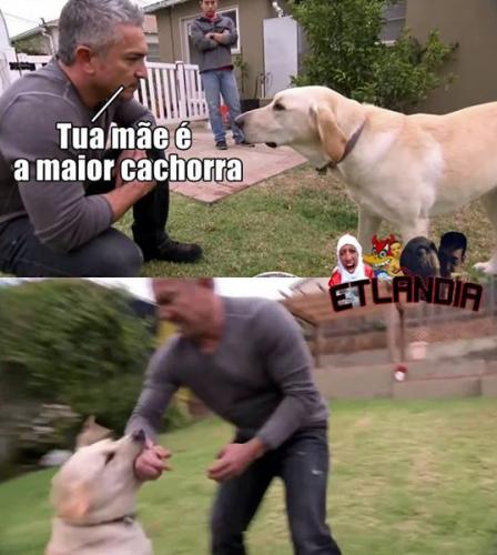 photo 868749153267056