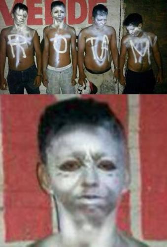 photo 869350969873541