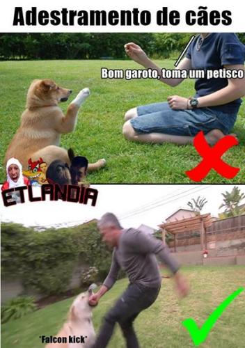 photo 869637733178198