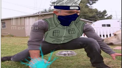 photo 869840496491255