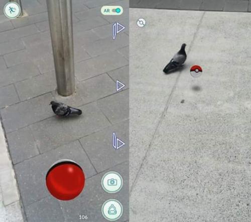 photo 872049846270320