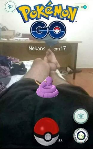 photo 872191769589461