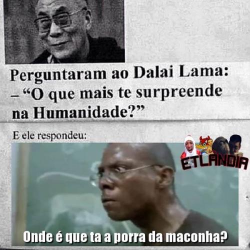 photo 872576819550956