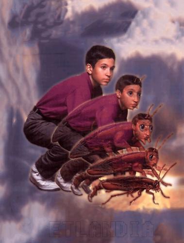 tumblr mfclbrl3Mw1qlxohso1 500